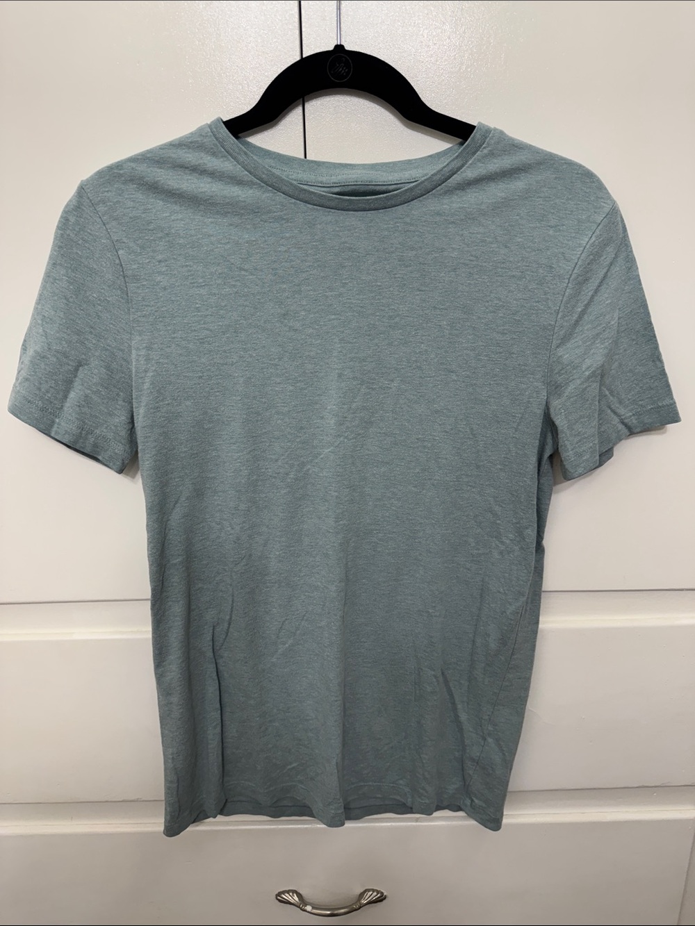 Goodfellow & Co Men's Crew Neck Tee in Sage Green